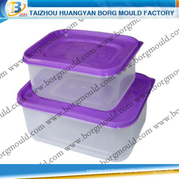 injection plastic crisper box mould